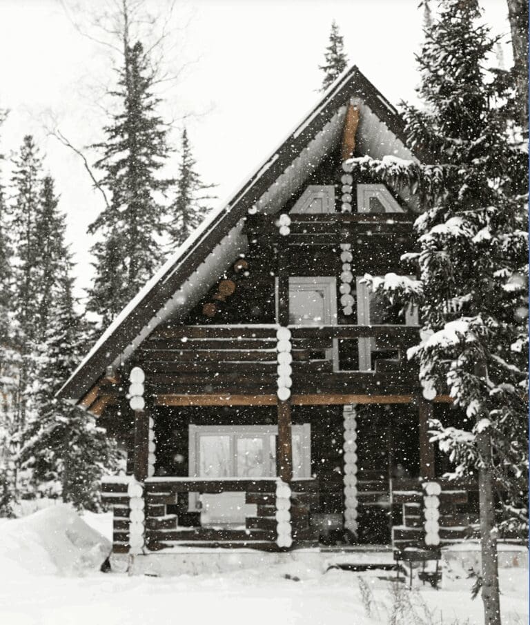 Winter Home