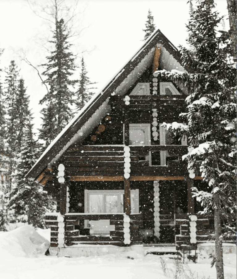Winter Home