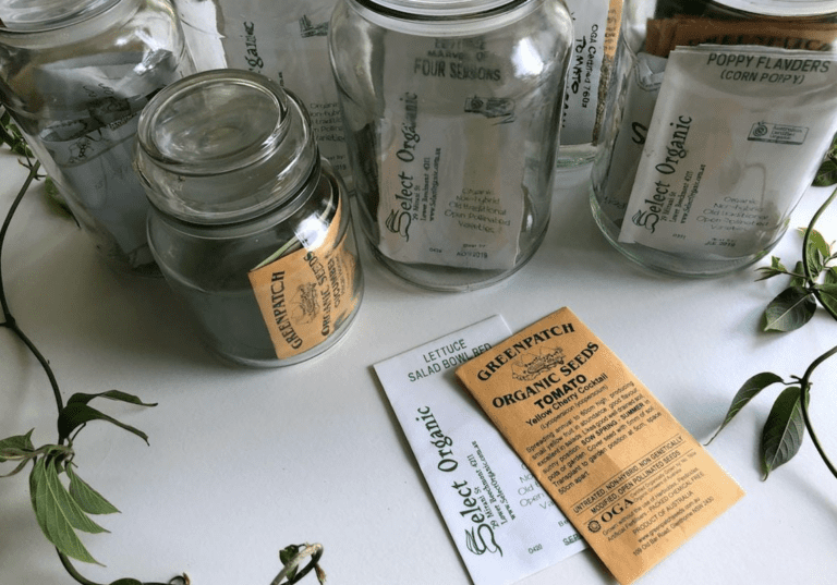 Seed packets to get garden started