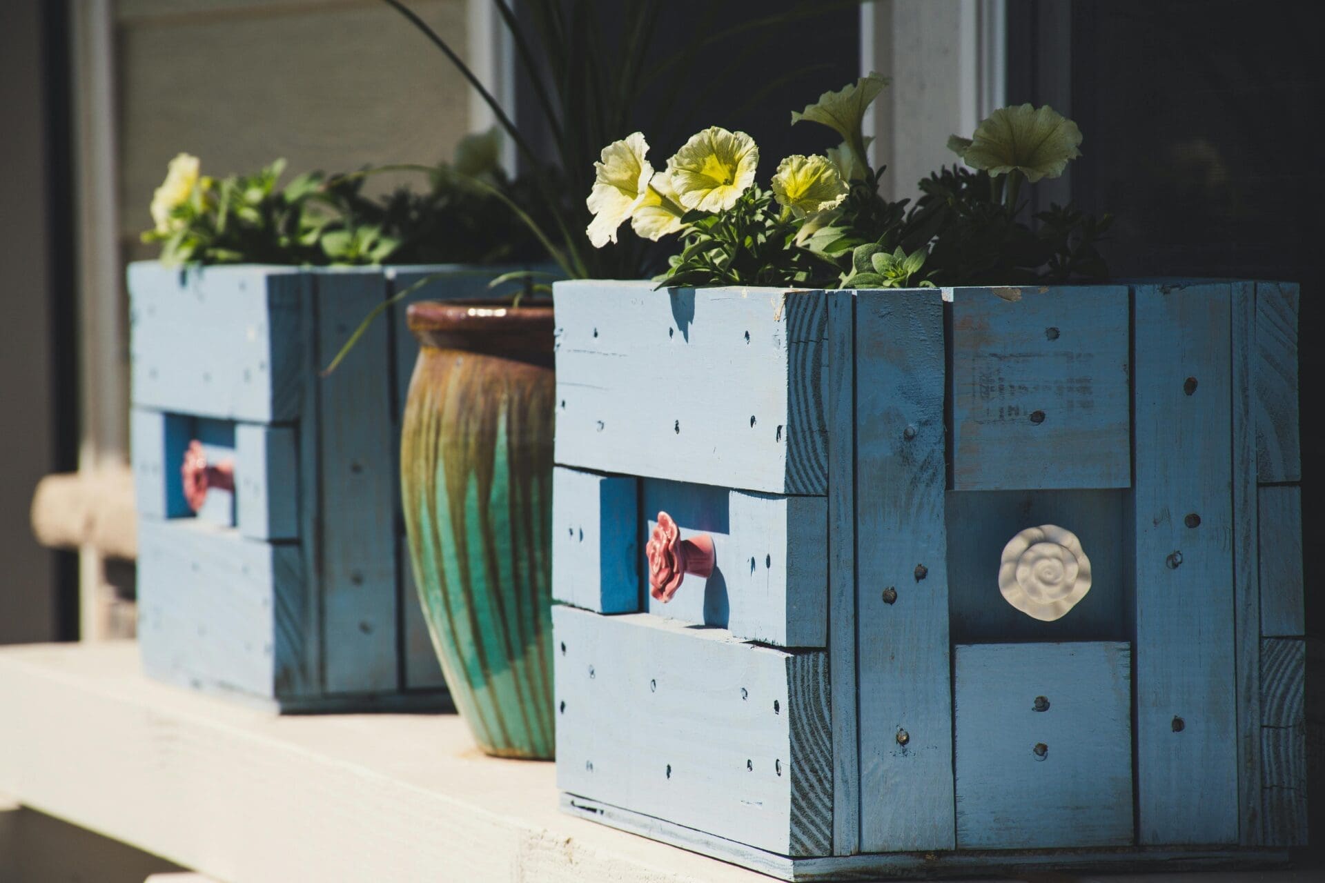 Mother's Day in Littleton: yellow petunias in blue planters with pink rose details — perfect for a gardening day with mom