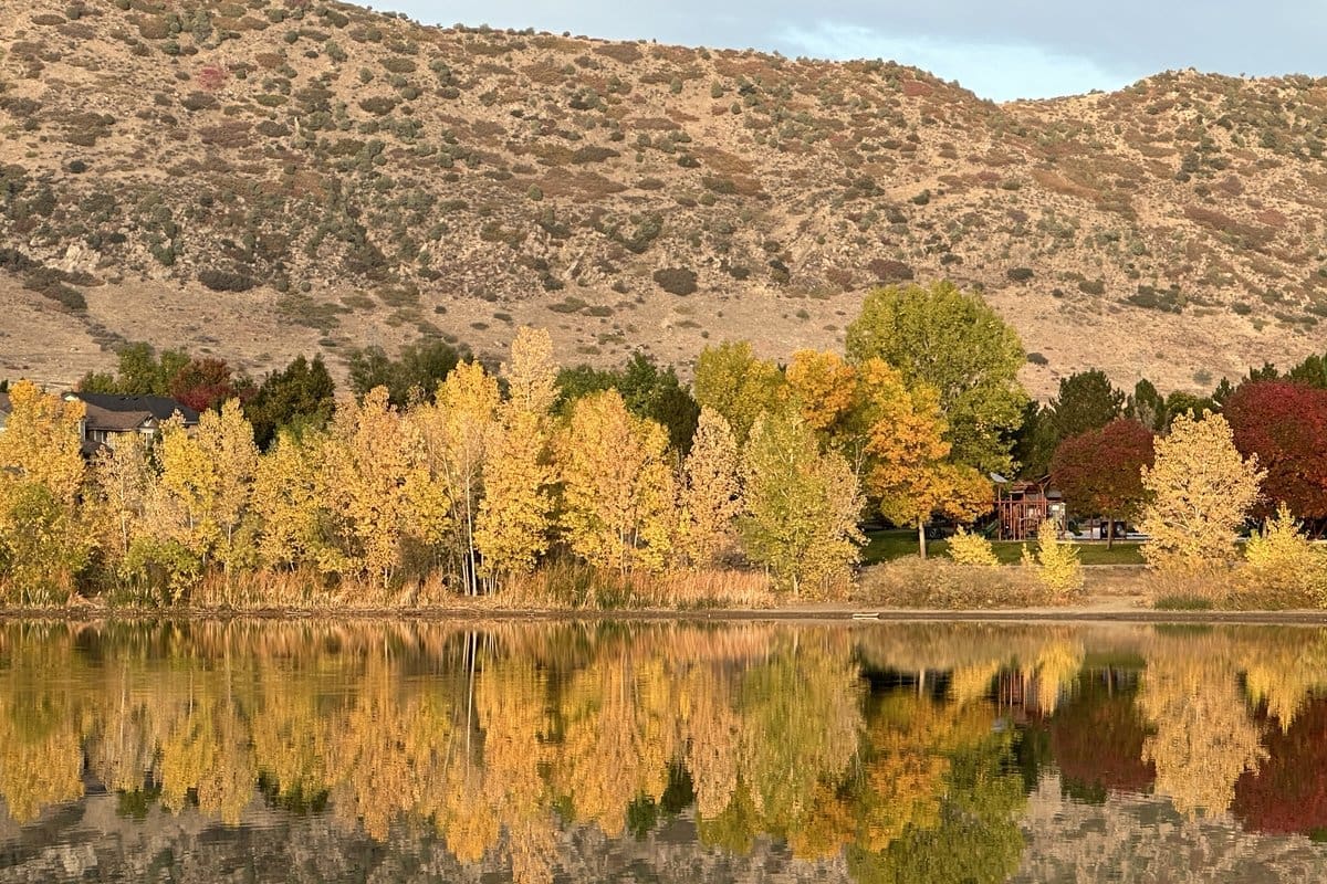 TrailMark reflection pond near homes for sale in Littleton CO 80127